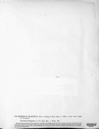 Lophodermium gramineum image